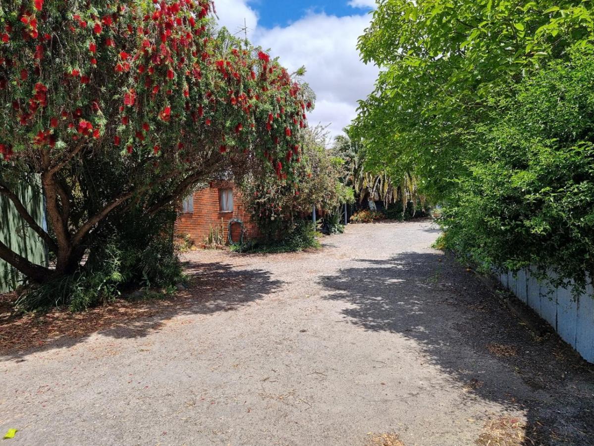 La Cochon Rose Motel Saint Arnaud Εξωτερικό φωτογραφία