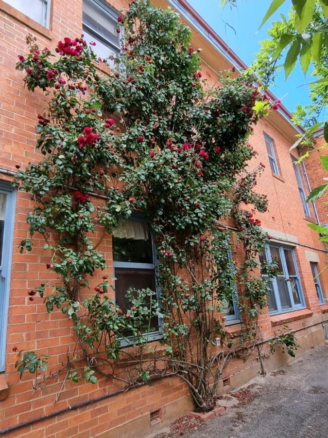 La Cochon Rose Motel Saint Arnaud Εξωτερικό φωτογραφία